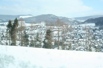IMG 5305